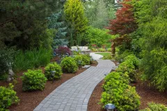 tranquil-garden-path